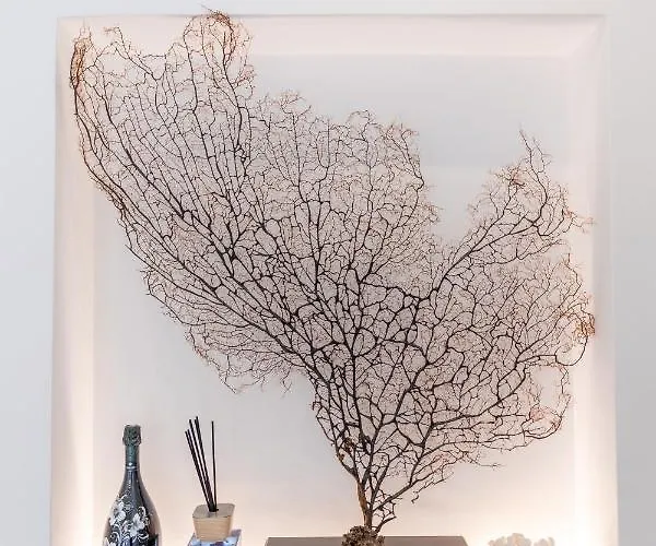 Casa Dani בית הארחה